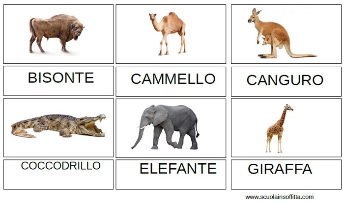 Flashcards Degli Animali Carte Delle Nomenclature In Italiano E In Inglese Scuolainsoffitta